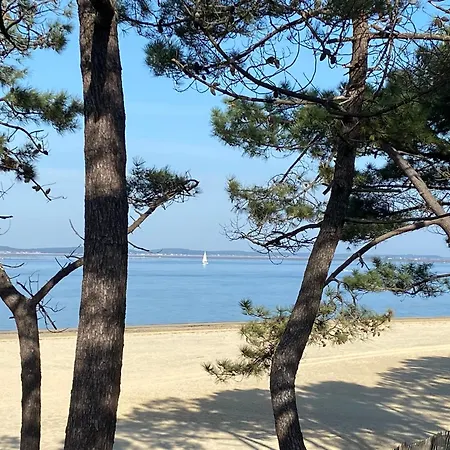 Affittacamere Appartement-charme&confort-proche Parc Ornithologique-dune Du Pilat- Clim- Parking Privé