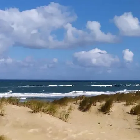 Les Du Bassin D'arcachon- Accueil, Propreté-petit-déjeuner Sur Demande-