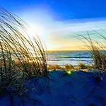 Les Cottages Du Bassin D'Arcachon -Proche Parc Ornithologique-Dune Du Pilat- Clim- Parking Prive Gæstehus 4*