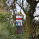 Les Cottages Du Bassin D'Arcachon -Proche Parc Ornithologique-Dune Du Pilat- Clim- Parking Prive 4*