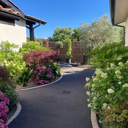 Appartement-charme & Confort-proche Parc Ornithologique-dune Du Pilat- Clim- Parking Prive 4*