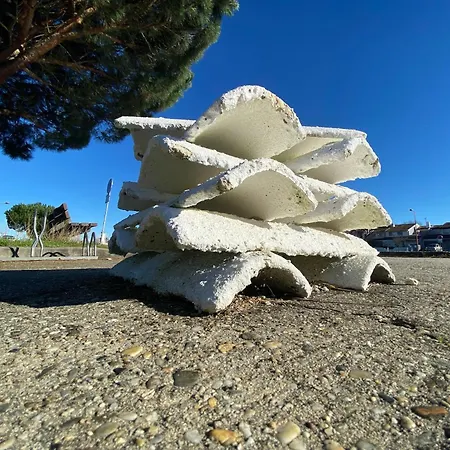Les Du Bassin D'arcachon- Accueil, Propreté-petit-déjeuner Sur Demande-