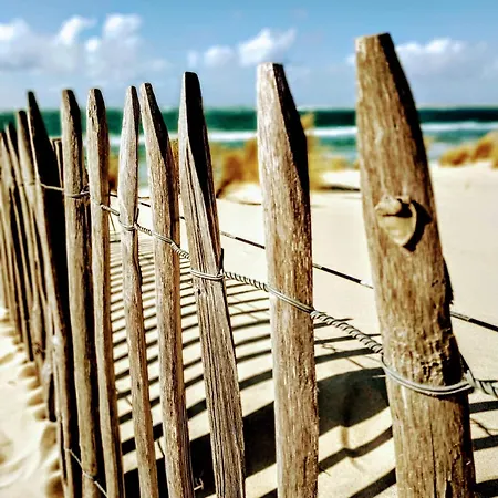 Les Du Bassin D'arcachon -proche Parc Ornithologique-dune Du Pilat- Clim- Parking Prive 4*