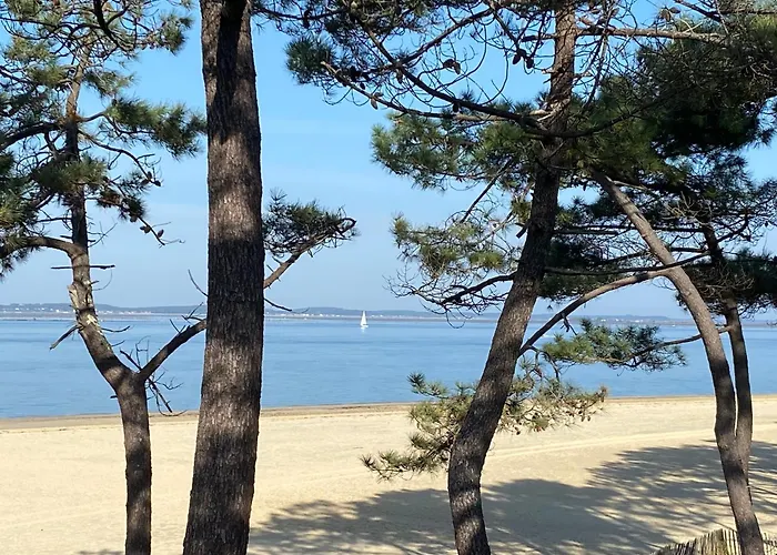 Pensionat Les Cottages Du Bassin D'Arcachon -Proche Parc Ornithologique-Dune Du Pilat- Clim- Parking Prive