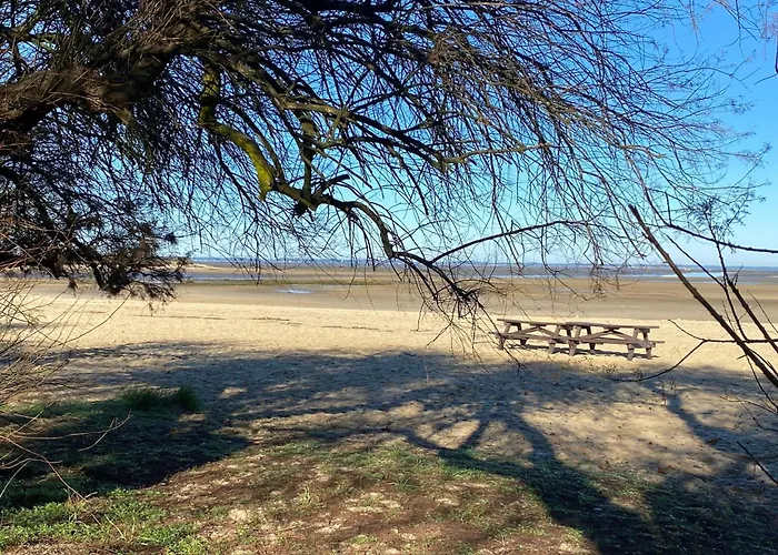 Pensionat Les Cottages Du Bassin D'Arcachon -Proche Parc Ornithologique-Dune Du Pilat- Clim- Parking Prive