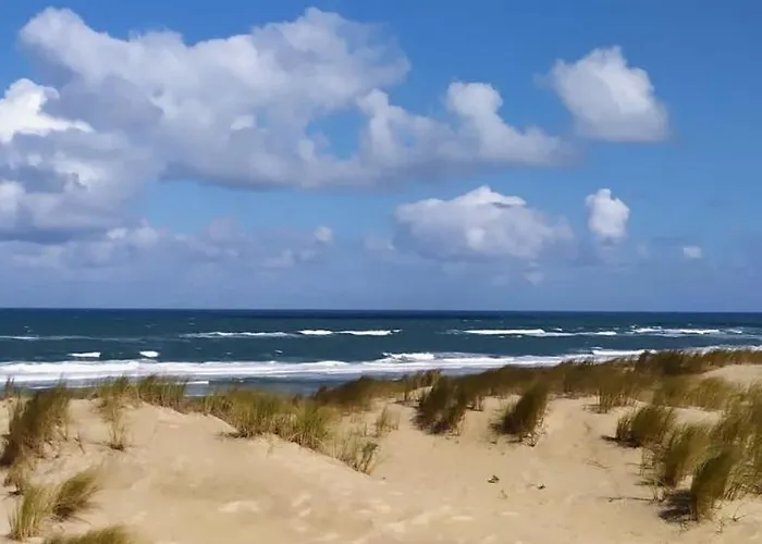 Les Cottages Du Bassin D'Arcachon -Proche Parc Ornithologique-Dune Du Pilat- Clim- Parking Prive