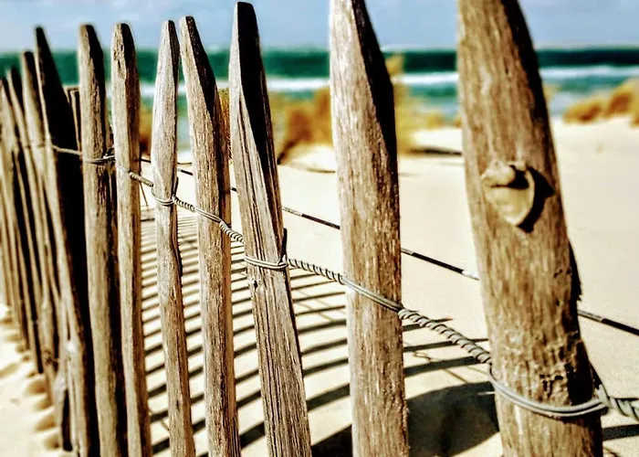 Les Cottages Du Bassin D'Arcachon -Proche Parc Ornithologique-Dune Du Pilat- Clim- Parking Prive 4*
