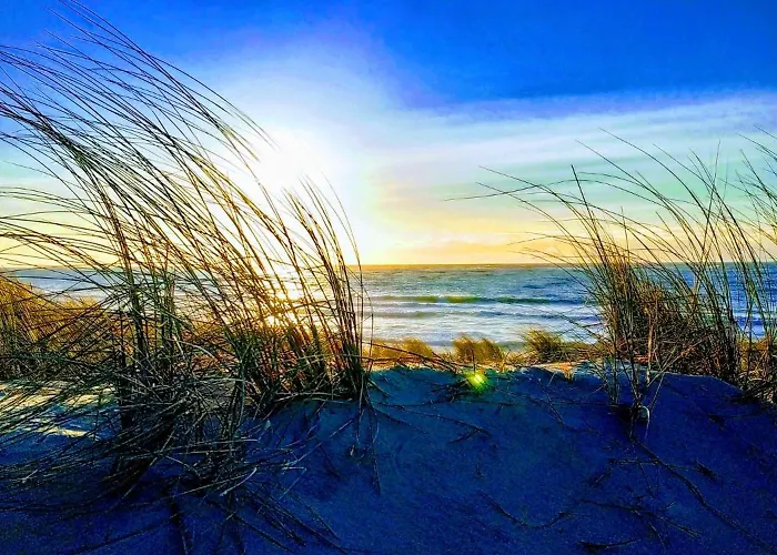 Les Cottages Du Bassin D'Arcachon -Proche Parc Ornithologique-Dune Du Pilat- Clim- Parking Prive Pensionat 4*