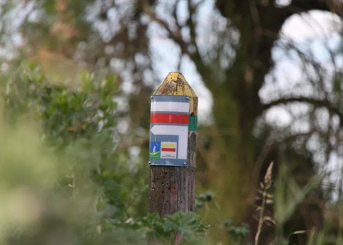 Les Cottages Du Bassin D'Arcachon -Proche Parc Ornithologique-Dune Du Pilat- Clim- Parking Prive 4*